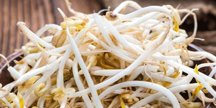 beansprouts